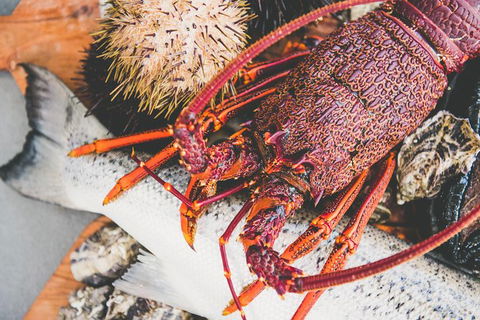Deep-to-Dish: Tasmanian Seafood Experience - Afternoon Tour - Accommodation Search 7