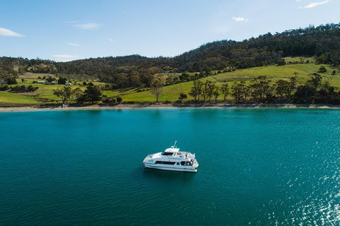 Deep-to-Dish: Tasmanian Seafood Experience - Afternoon Tour - Accommodation Search 8