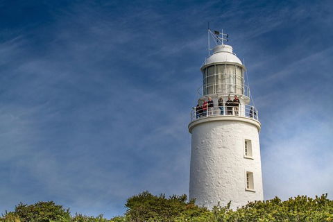 Fully Guided Bruny Island Lighthouse Tour - Accommodation Search 7