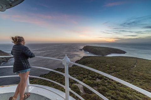 Fully Guided Bruny Island Lighthouse Tour - Accommodation Search 4