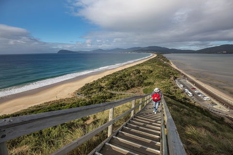 Fully Guided Bruny Island Lighthouse Tour - Accommodation Search 2