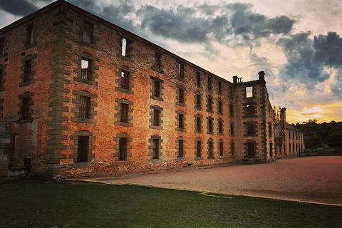 Full Day Tour Hobart: Port Arthur McHenry Gins Bangor Vineyard Wines + Oysters - Accommodation Search 20