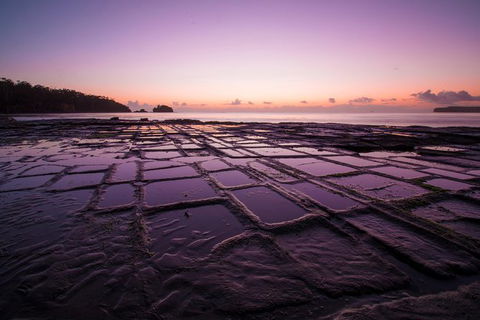 Full Day Tour Hobart: Port Arthur McHenry Gins Bangor Vineyard Wines + Oysters - Accommodation Search 8