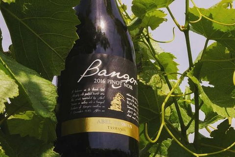 Full Day Tour Hobart: Port Arthur McHenry Gins Bangor Vineyard Wines + Oysters - Accommodation Search 2