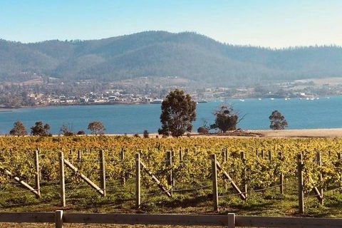 Full Day Tour Hobart: Port Arthur McHenry Gins Bangor Vineyard Wines + Oysters - Accommodation Search 22