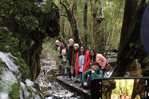 Cradle Mountain In A Day From Hobart - Accommodation Search 5