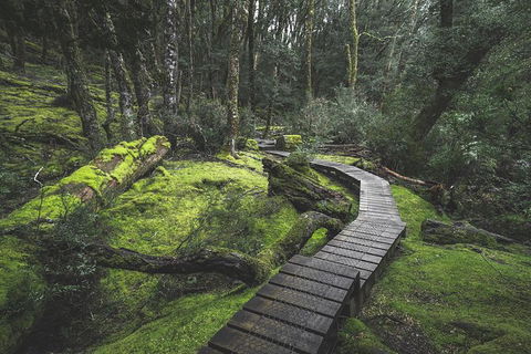 Cradle Mountain In A Day From Hobart - Accommodation Search 3