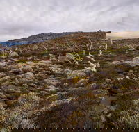 Alpine Loop - Accommodation Search