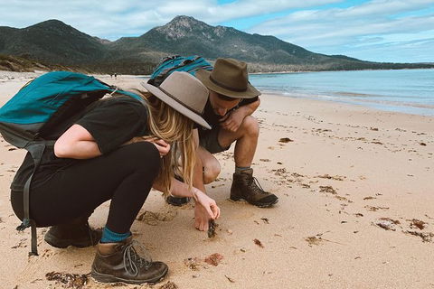 Freycinet Walking Tour - Accommodation Search 0