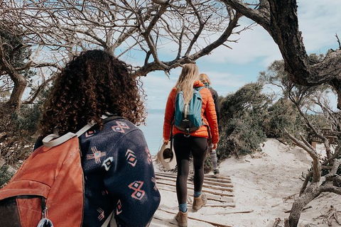 Freycinet Walking Tour - Accommodation Search 6