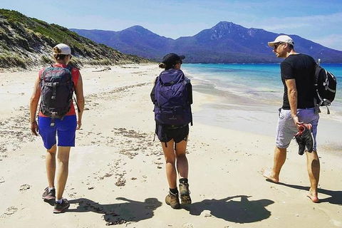 Freycinet Walking Tour - Accommodation Search 1