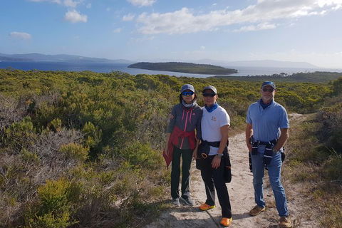 Maria Island And East Coast Five Day Cruise - Accommodation Search 2