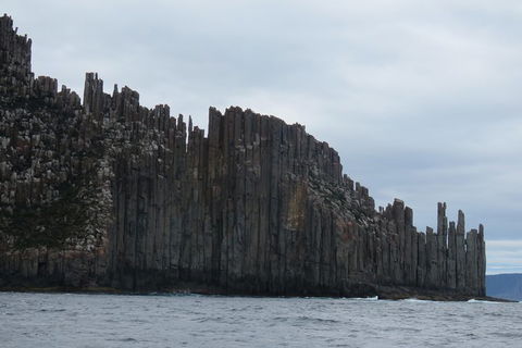 Maria Island And East Coast Five Day Cruise - Accommodation Search 6