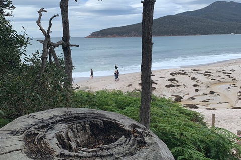Wineglass Bay Beach Hike - Accommodation Search 15