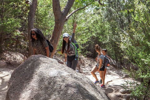 Wineglass Bay Beach Hike - Accommodation Search 14