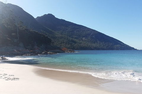 Wineglass Bay Beach Hike - Accommodation Search 4