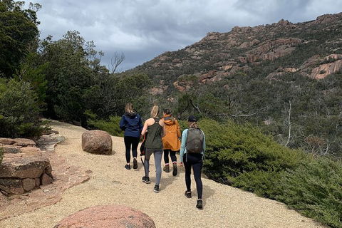 Wineglass Bay Beach Hike - Accommodation Search 26