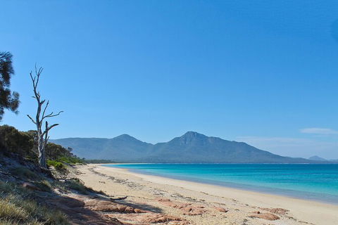 Wineglass Bay Beach Hike - Accommodation Search 1