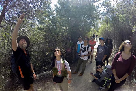 Wineglass Bay Beach Hike - Accommodation Search 9