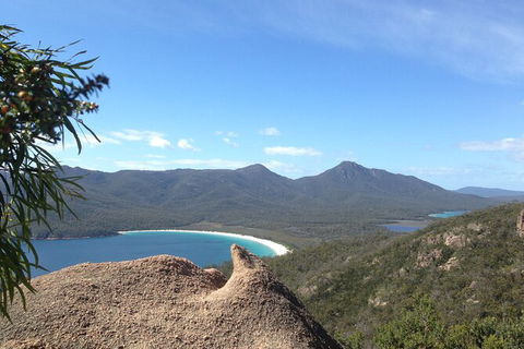 Wineglass Bay Beach Hike - Accommodation Search 16