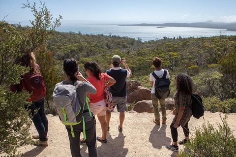 Wineglass Bay Beach Hike - Accommodation Search 7