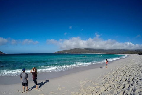 Wineglass Bay Beach Hike - Accommodation Search 18