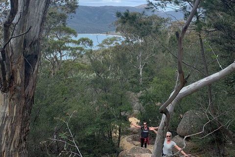 Wineglass Bay Beach Hike - Accommodation Search 10