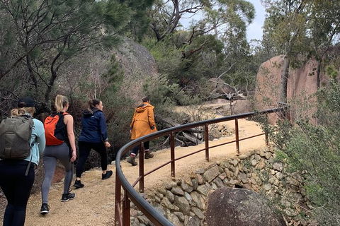 Wineglass Bay Beach Hike - Accommodation Search 13