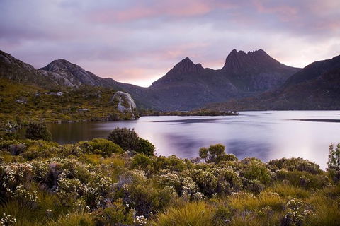 Cradle Mountain Private Charter Service - Accommodation Search 3