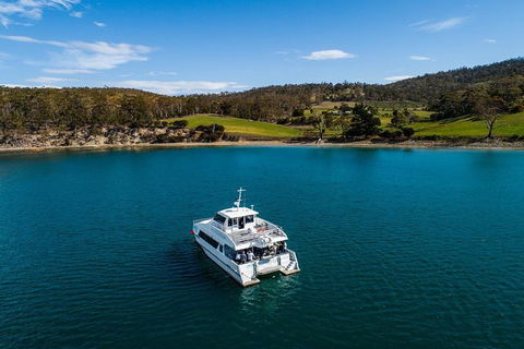 Deep-to-Dish: Tasmanian Seafood Experience - Morning Tour - Accommodation Search 4