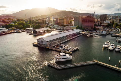 Deep-to-Dish: Tasmanian Seafood Experience - Morning Tour - Accommodation Search 2