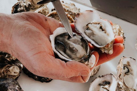 Deep-to-Dish: Tasmanian Seafood Experience - Morning Tour - Accommodation Search 5