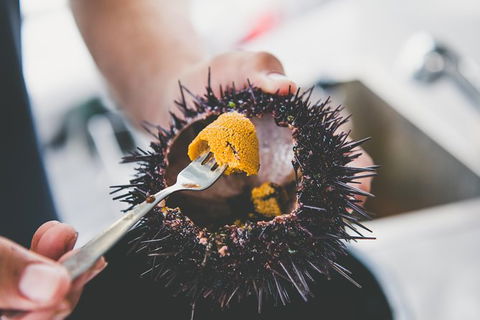 Deep-to-Dish: Tasmanian Seafood Experience - Morning Tour - Accommodation Search 9