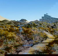 Hartz Mountains premium private photo-oriented day tour from Hobart - Accommodation Search
