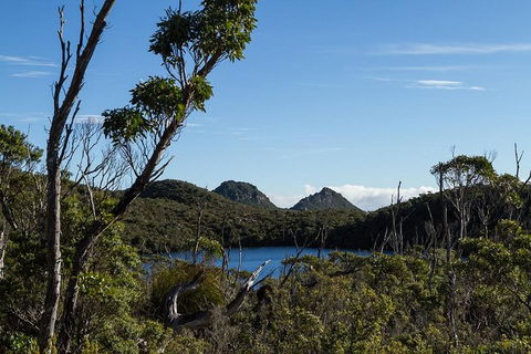Hartz Mountains Premium Private Photo-oriented Day Tour From Hobart - Accommodation Search 1