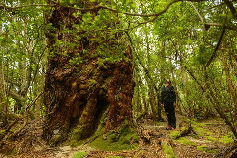 3-Day Southwest National Park Wilderness Camping Tour - Accommodation Search 4