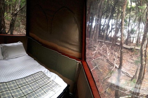 3-Day Southwest National Park Wilderness Camping Tour - Accommodation Search 7