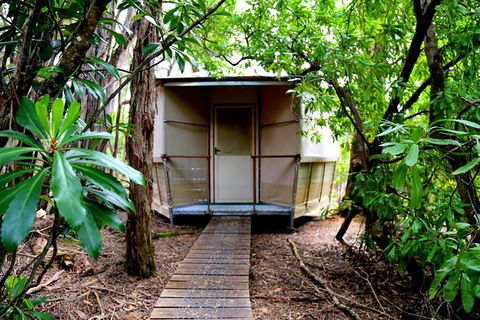 3-Day Southwest National Park Wilderness Camping Tour - Accommodation Search 2