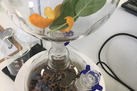 Master Gin Making Classes - Accommodation Search 3