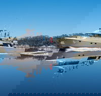 4-Day Cruise Expedition of Southwest Tasmania's World Heritage from Hobart - Accommodation Search