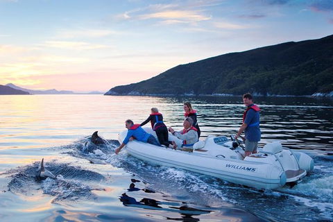 4-Day Cruise Expedition Of Southwest Tasmania\'s World Heritage From Hobart - Accommodation Search 1