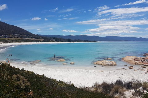 Wineglass Bay Day Tour - Accommodation Search 3