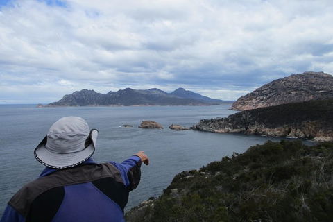 Wineglass Bay Day Tour - Accommodation Search 4