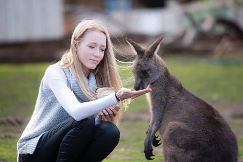 Cruise Ship Special From Hobart: Richmond And Bonorong Wildlife Park Shuttle - Accommodation Search 4