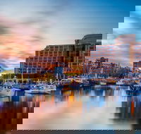 5 Day 4 Night Guided Tasmania Tour - Accommodation Search