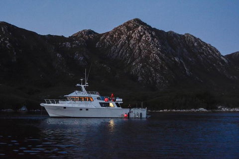 5-Day Expedition Of Bathurst Harbour And Port Davey On-Board MV Odalisque From Hobart - Accommodation Search 1