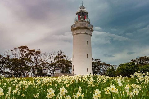 Table Cape Lighthouse Tours - Accommodation Search 7