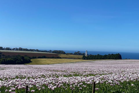 Table Cape Lighthouse Tours - Accommodation Search 8