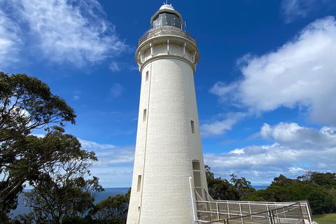 Table Cape Lighthouse Tours - Accommodation Search 4
