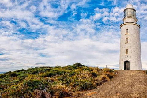 Bruny Island Private Charter Service - Accommodation Search 3
